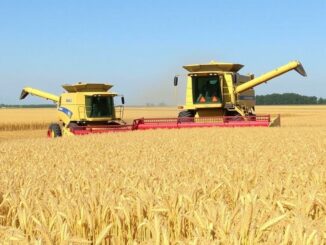 Как выбрать и понять устройство современной жатвы: практическое руководство по зерноуборочным комбайнам