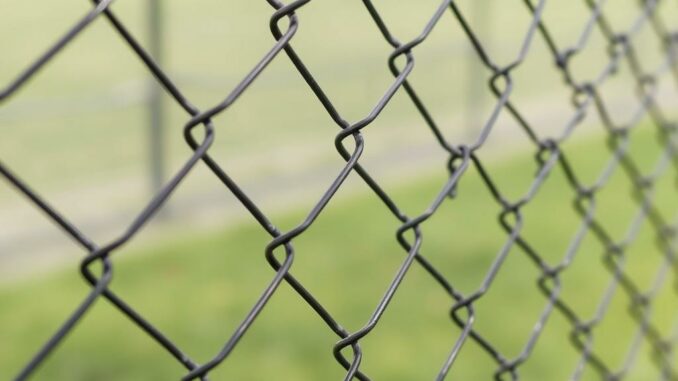 Сетка рабица и заборы из нее: практично, доступно, красиво